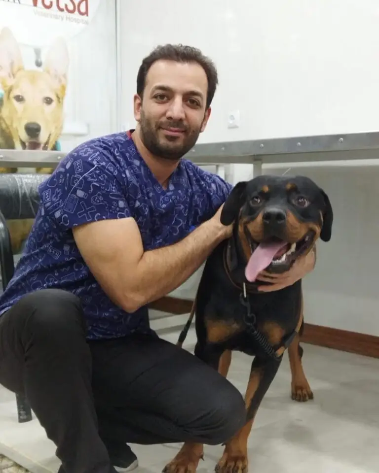 Amir